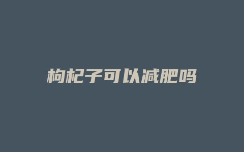 枸杞子可以减肥吗