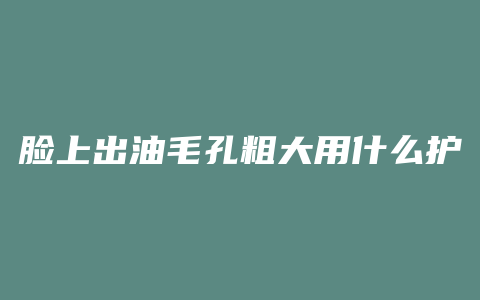 脸上出油毛孔粗大用什么护肤品