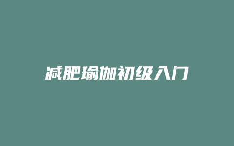 减肥瑜伽初级入门