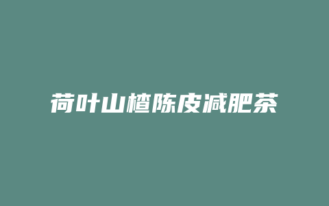 荷叶山楂陈皮减肥茶
