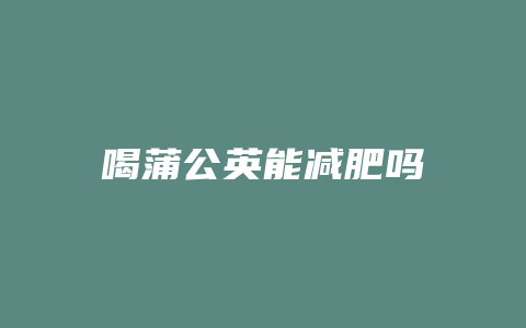 喝蒲公英能减肥吗