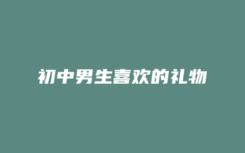 初中男生喜欢的礼物