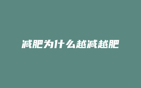 减肥为什么越减越肥