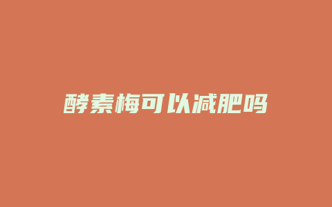 酵素梅可以减肥吗