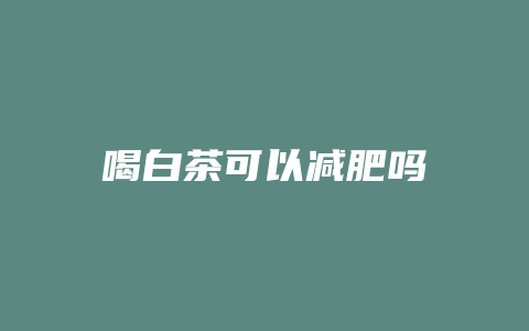 喝白茶可以减肥吗