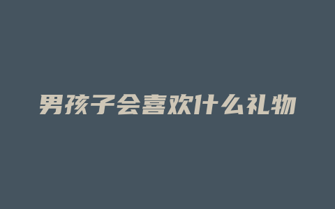 男孩子会喜欢什么礼物
