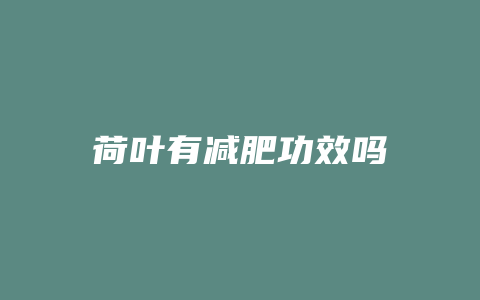 荷叶有减肥功效吗